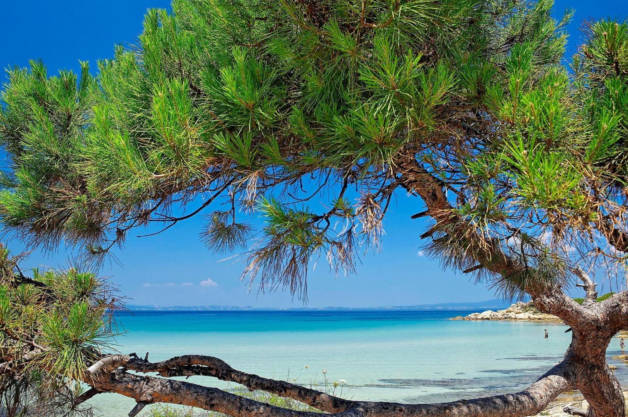 Ikos Olivia Hotel Gerakini Exterior foto